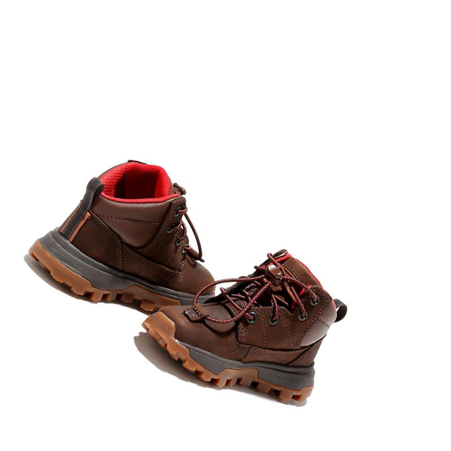 Zapatillas Timberland Treeline Mid Hiker Niños Marrones Oscuro | ES-YFTIK52