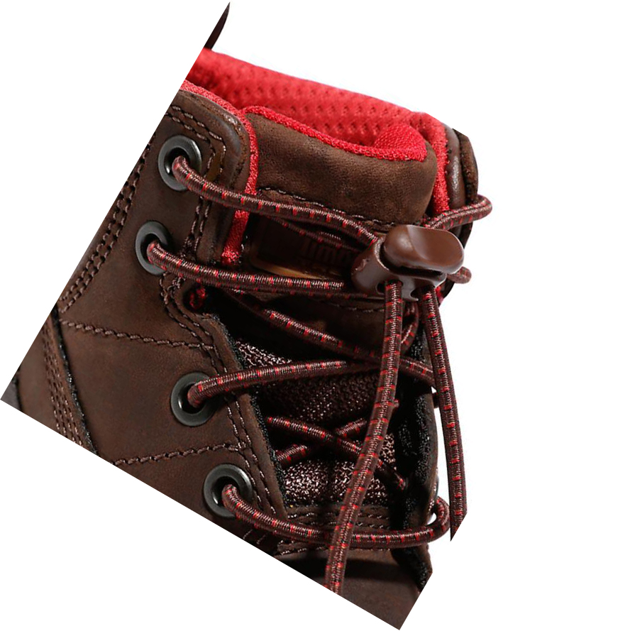 Zapatillas Timberland Treeline Mid Hiker Niños Marrones Oscuro | ES-YFTIK52