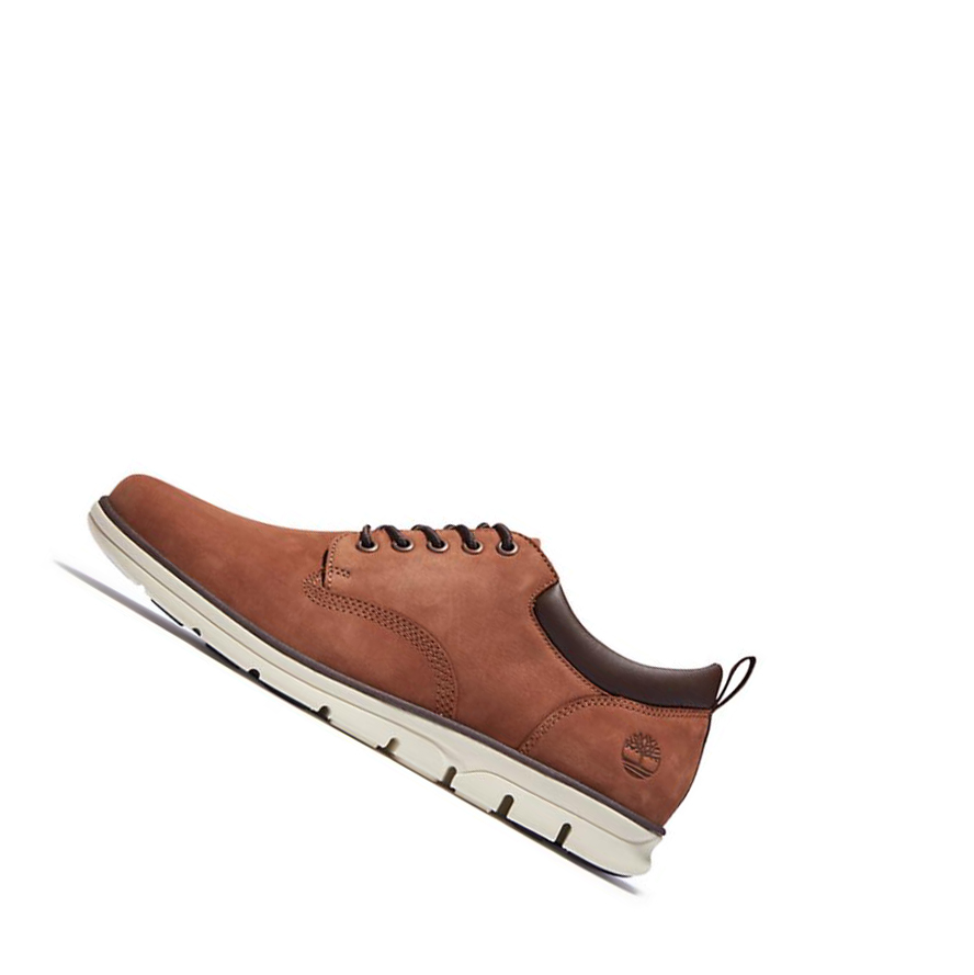 Zapatos Casuales Timberland Bradstreet Cuero Oxford Hombre Marrones | ES-SVOTN26