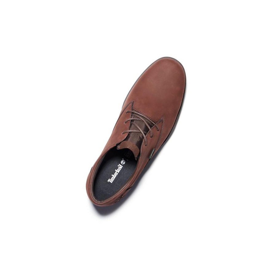 Zapatos Casuales Timberland Bradstreet Gore-Tex® Hombre Marrones Oscuro | ES-IFTLD97