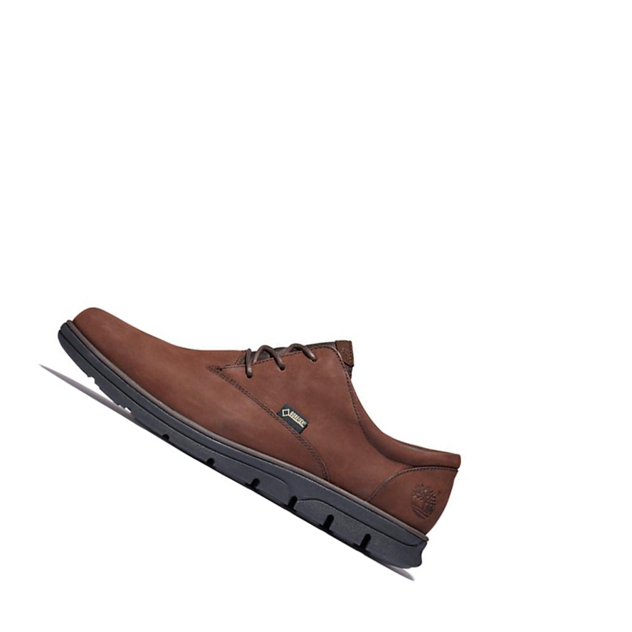 Zapatos Casuales Timberland Bradstreet Gore-Tex® Hombre Marrones Oscuro | ES-IFTLD97