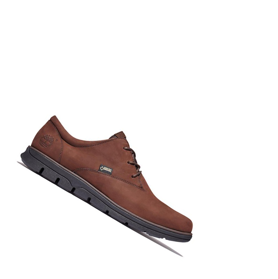 Zapatos Casuales Timberland Bradstreet Gore-Tex® Hombre Marrones Oscuro | ES-IFTLD97