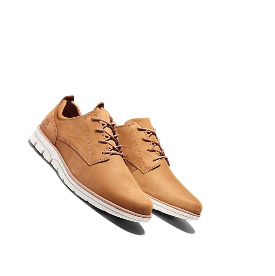 Zapatos Casuales Timberland Bradstreet Hombre Marrones | ES-ADJCX81