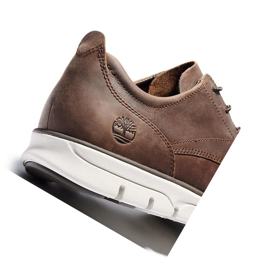 Zapatos Casuales Timberland Bradstreet Hombre Marrones Oscuro | ES-ZSRUA96