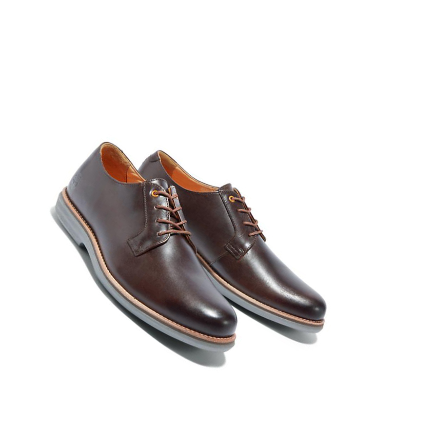 Zapatos Casuales Timberland City Groove Oxford Hombre Marrones Oscuro | ES-FZNAQ65