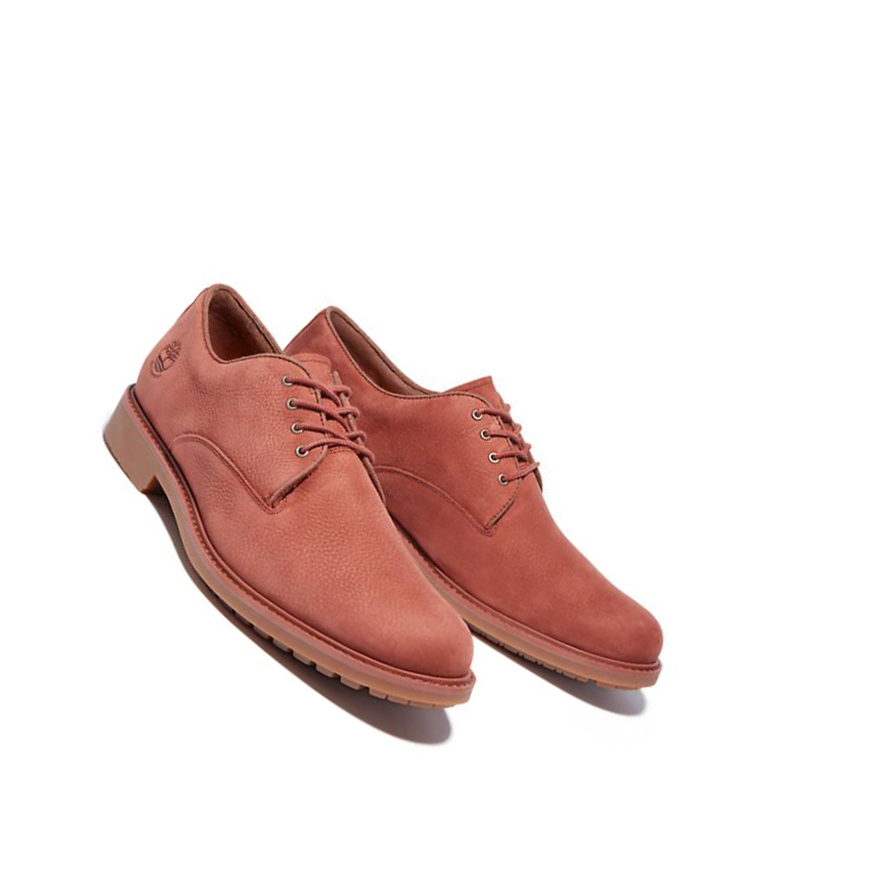 Zapatos Casuales Timberland Stormbucks Impermeables Oxford Hombre Marrones | ES-ASUQR10