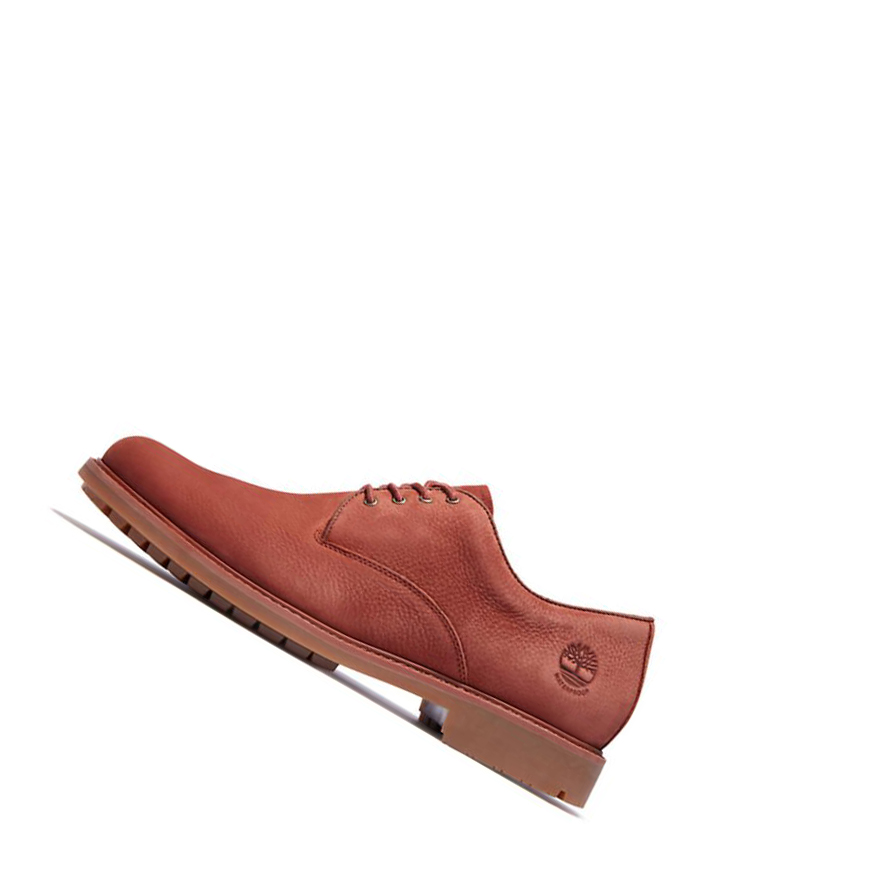 Zapatos Casuales Timberland Stormbucks Impermeables Oxford Hombre Marrones | ES-ASUQR10