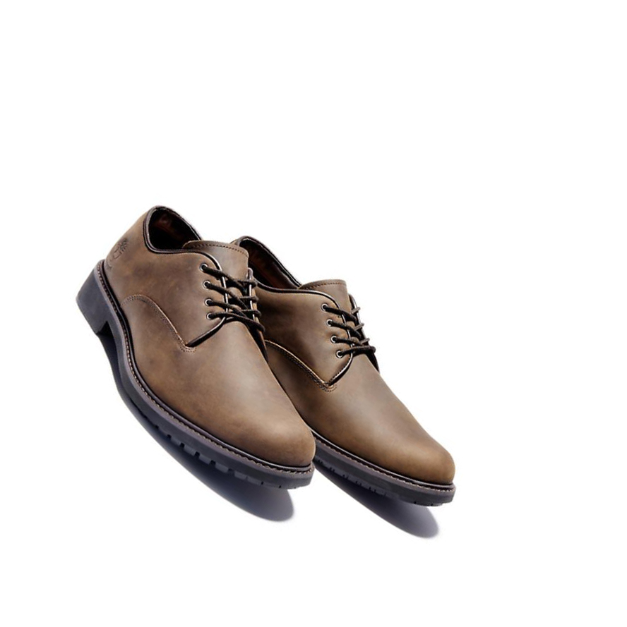 Zapatos Casuales Timberland Stormbucks Oxford Hombre Marrones Oscuro | ES-RFHNP47