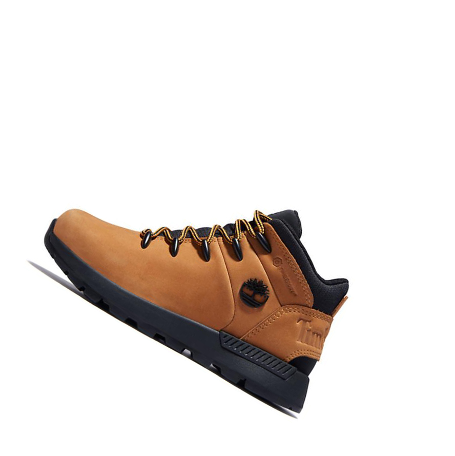 Zapatos De Senderismo Timberland Sprint Trekker Mid Niños Amarillo | ES-EYDXN43