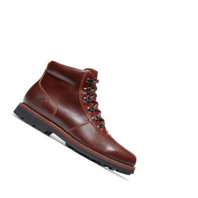 Botas de Invierno Timberland Alden Brook Hombre Marrones | ES-IJFOQ21