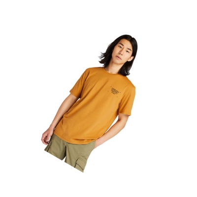 Camiseta Timberland Camo-print Logo Hombre Amarillo Oscuro | ES-FESGJ49