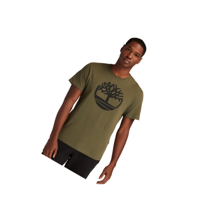 Camiseta Timberland Kennebec River Tree Logo Hombre Verde Oscuro | ES-VWXTZ43