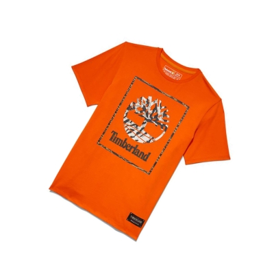 Camiseta Timberland Year of the Tiger Hombre Naranjas | ES-RYMXE67