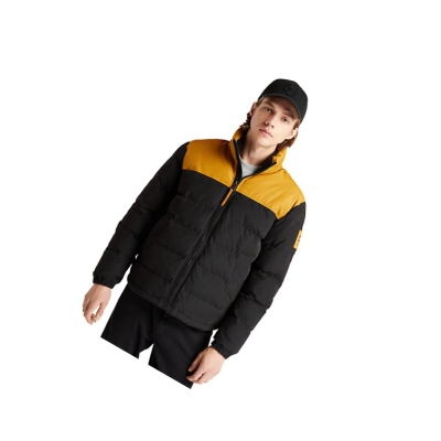 Chaquetas Timberland Welch Mountain Puffer Quilted-Híbrido Hombre Negras | ES-FHBWL21