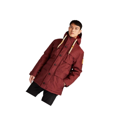 Chaquetas Timberland Wilmington DryVent™ Field Parka Hombre Rojas | ES-HWBDM58