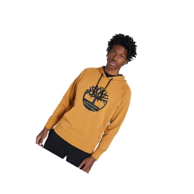 Sudadera Con Capucha Timberland Core Tree Logo Hombre Amarillo | ES-DREAH48