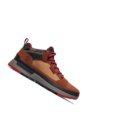 Zapatillas Timberland Field Trekker Hombre Marrones | ES-WDHPC93