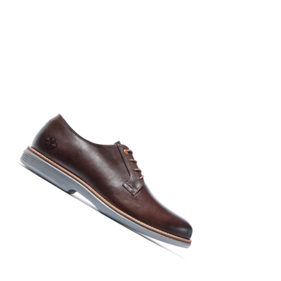 Zapatos Casuales Timberland City Groove Oxford Hombre Marrones Oscuro | ES-FZNAQ65